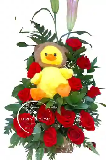Rosas Rojas Pollito