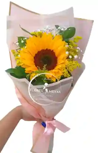 Girasol En Solitario