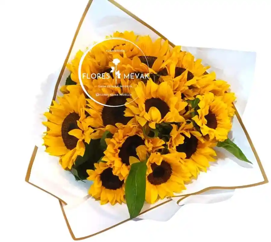 Girasoles Hermoso Amanecer