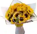 Girasoles Hermoso Amanecer