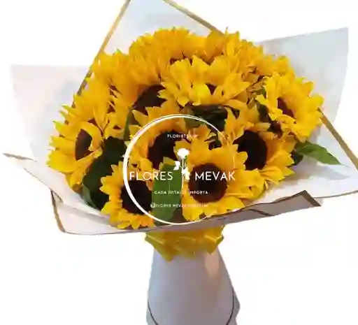 Girasoles Hermoso Amanecer
