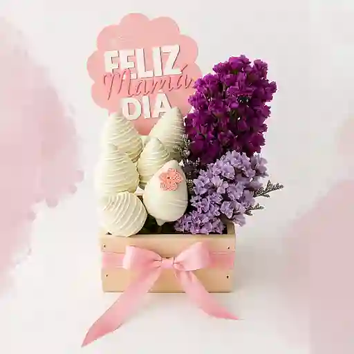 Box Jolie