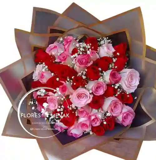 Rosas X48