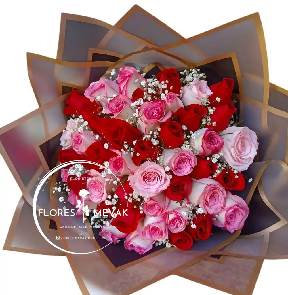 Rosas X48