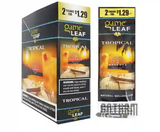 Game Leaf Tropical