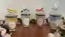 Vela Aromática Pequeña De Coco/vainilla De Cera De Palma