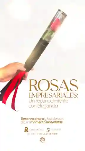 Rosa Unidad