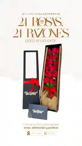 Caja Clasica