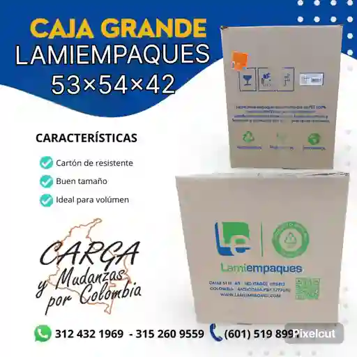 Caja Mediana Lamienpaques 53x42x54 - Embalaje