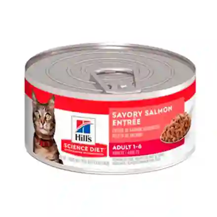 Lata Hills Gato Adulto Salmón 156gr