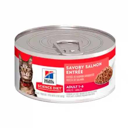 Lata Hills Gato Adulto Salmón 156gr