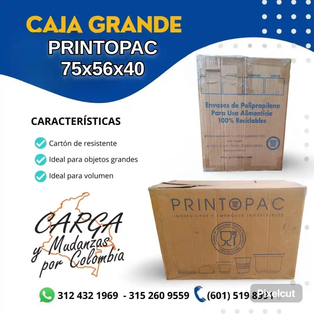 Caja Printopac Grande - 75x40x56 - Embalaje
