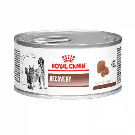 Royal Canin Lata Recovery 145gr