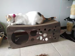 Rascadores Para Gato Cueva Gimnasio Para Gatos Cueva Juguete Para Gato