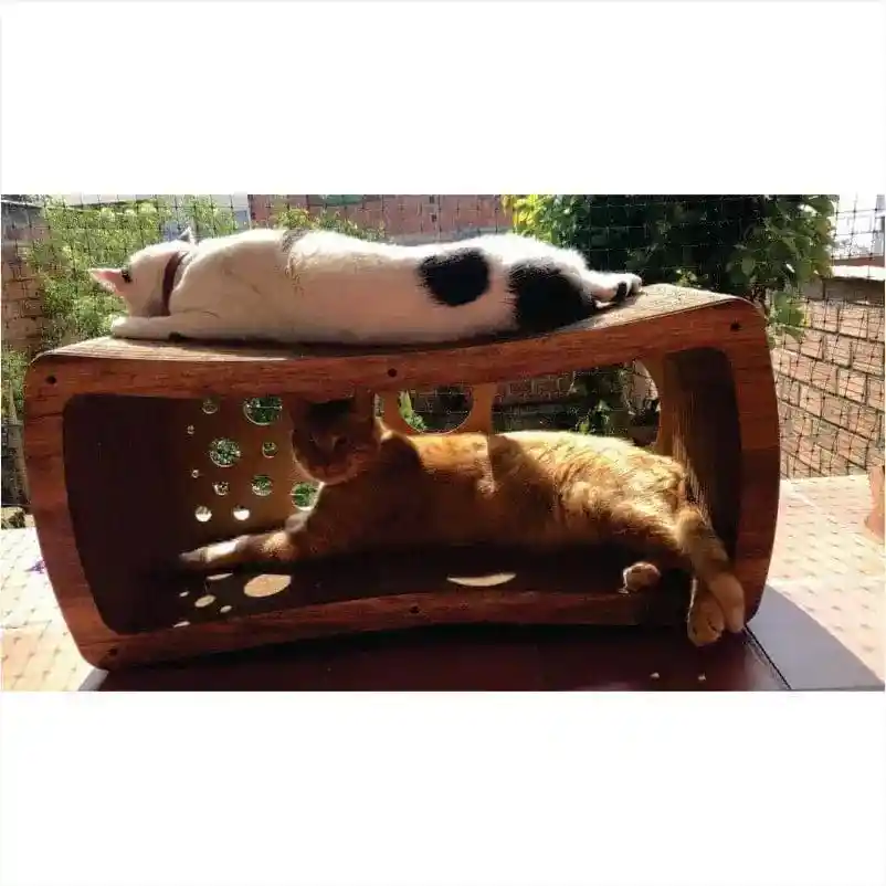 Rascadores Para Gato Cueva Gimnasio Para Gatos Cueva Juguete Para Gato