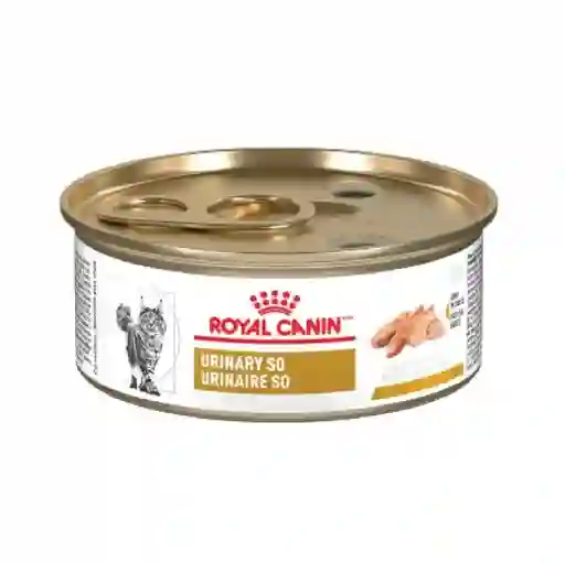 Royal Canin Latagato Urinary 145 Gr