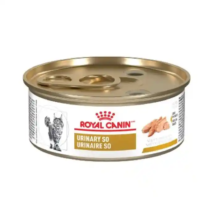 Royal Canin Latagato Urinary 145 Gr