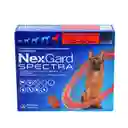 Nexgard Spectra 30 A 60 Kg Nexgardspectra 30 A 60 Kg Antipulgas Y Antigarraparas
