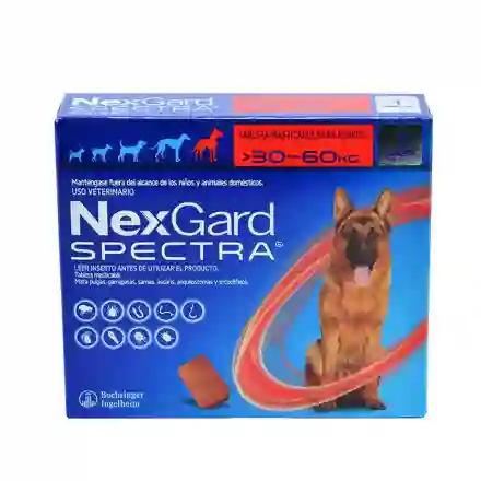 Nexgard Spectra 30 A 60 Kg Nexgardspectra 30 A 60 Kg Antipulgas Y Antigarraparas