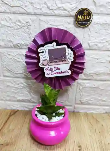Planta Suculenta Dia De La Secretaria