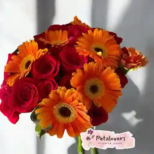 Flores Bouquet 24 Rosas Rojas Con Gerberas