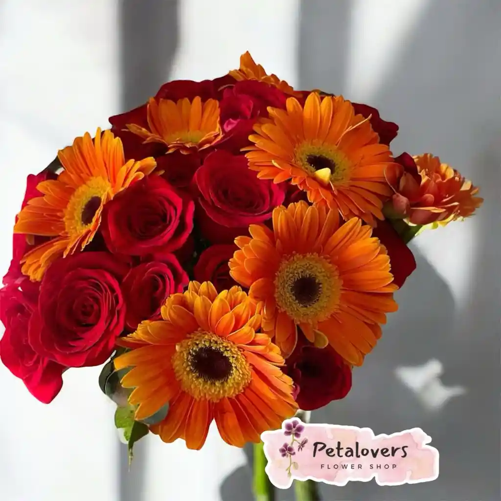 Flores Bouquet 24 Rosas Rojas Con Gerberas