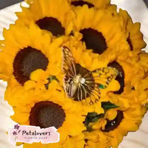 Flores Bouquet De 9 Girasoles Con Mariposa