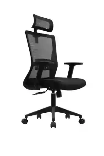 Silla Matisse Premium Presidente