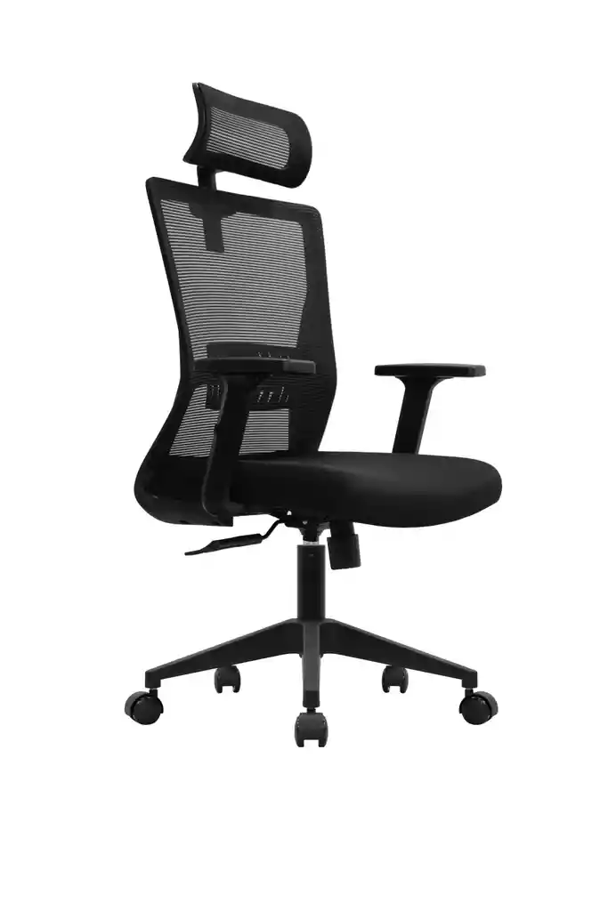 Silla Matisse Premium Presidente