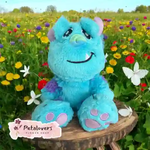 Detalle Peluche Solivan Hermoso