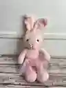 Peluche Conejita Con Vestido 30cm