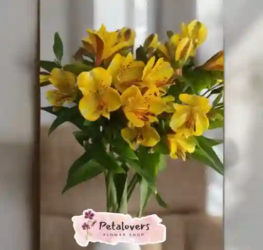 Flores Bouquet De Astromelias