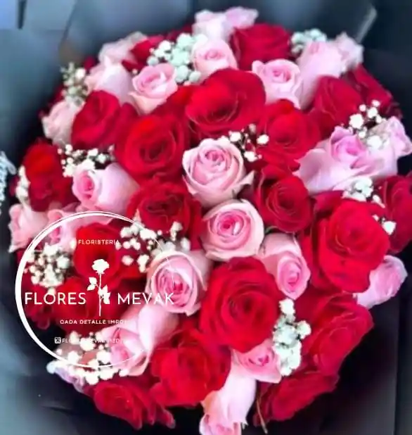 Rosas Rojas Y Rosadas X48