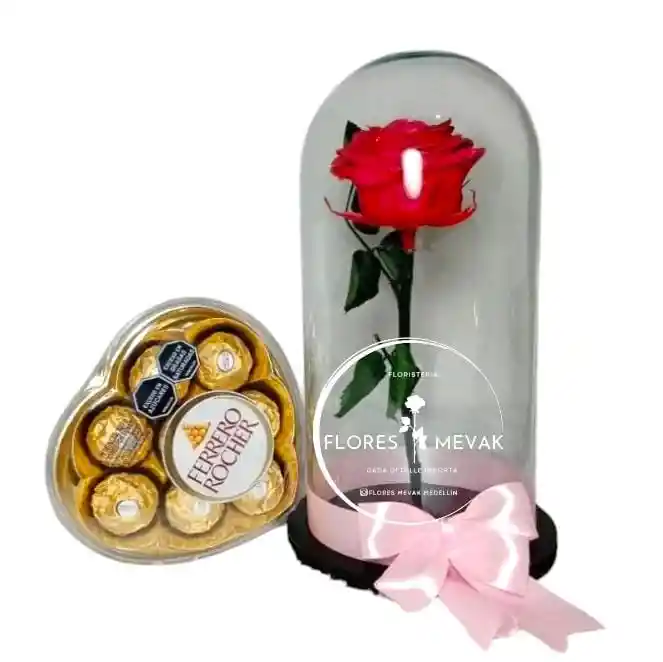 Rosa Poreservada