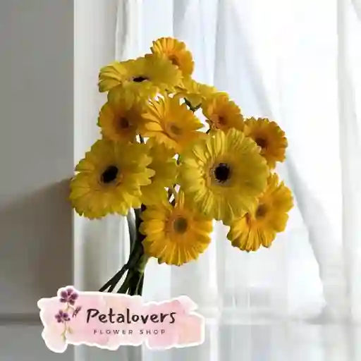 Flores Bouquet De 12 Gerberas Amarillas