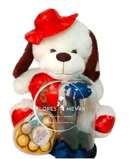 Combo Teddy Preservada Ferrero