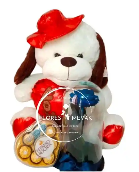 Combo Teddy Preservada Ferrero
