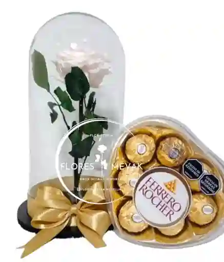 Rosa Preservada Blanca Y Ferrero Rocher