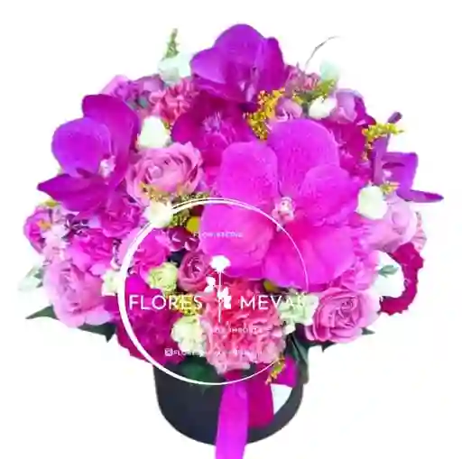 Cilindro Orquideas Moradas