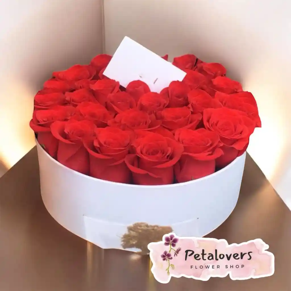 Flores Caja De 24 Rosas Rojas