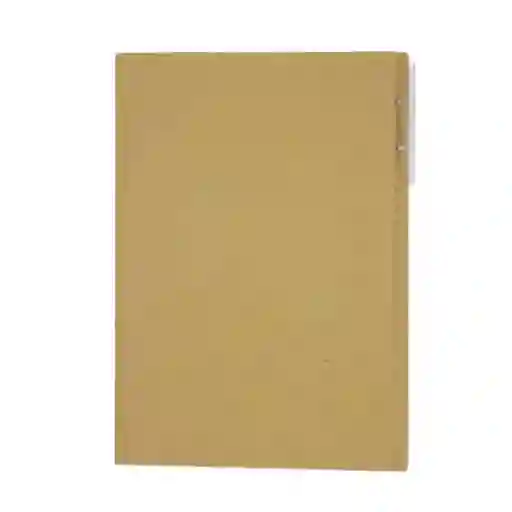 Carpeta Carton Oficio (celuguia)