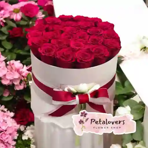Flores Caja De 24 Rosas Rojas