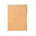 Carpeta Carton Carta (celuguia)