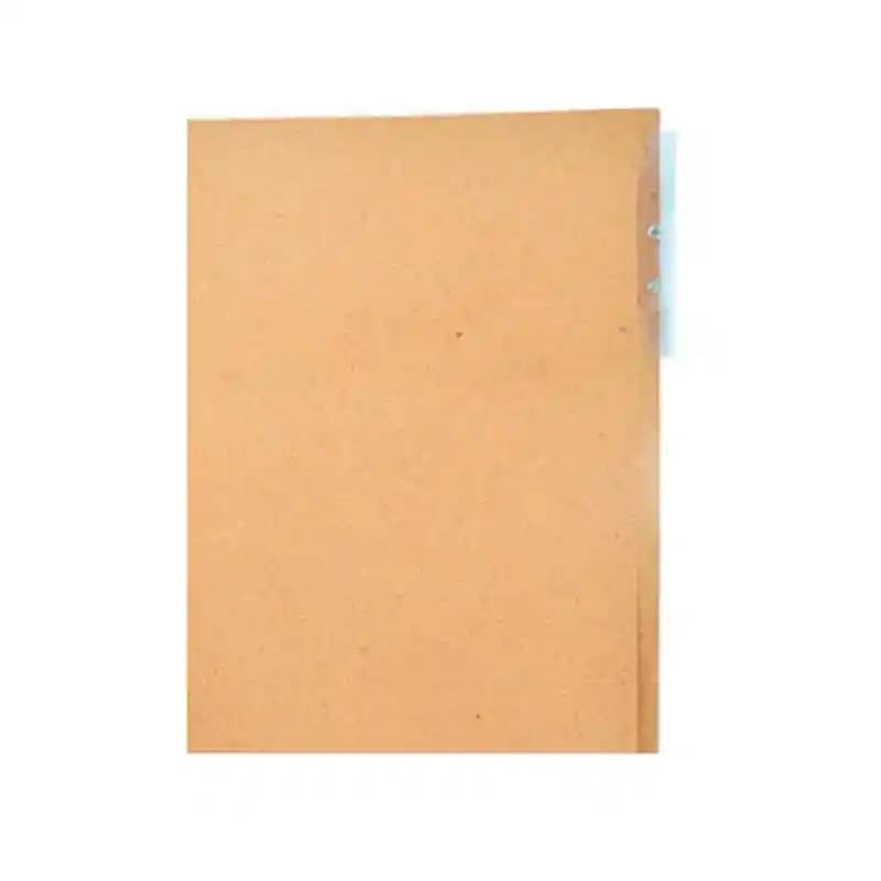 Carpeta Carton Carta (celuguia)