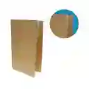 Carpeta Carton Carta (celuguia)