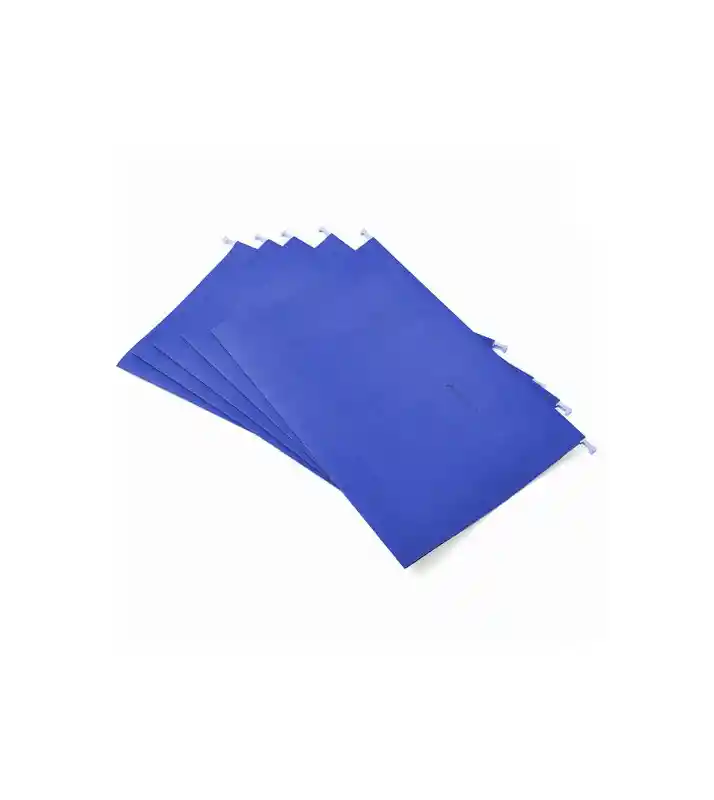 Carpeta Azul Colgante Oficio