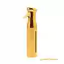 Botella Pulverizadora Continua Galvanizada De 300 Ml