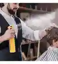 Botella Pulverizadora Continua Galvanizada De 300 Ml