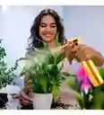 Botella Pulverizadora Continua Galvanizada De 300 Ml