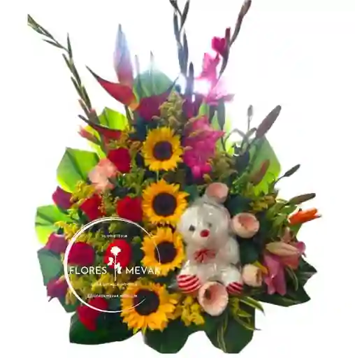 Rosas Y Oso Esplendor